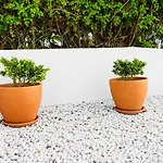 Casa Com Patio-sao Lourenco-ericeira 펜션 *