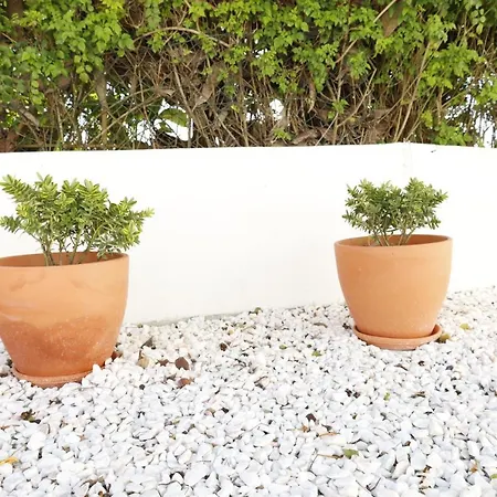 Casa Com Patio-sao Lourenco-ericeira * Casais de Sao Lourenco