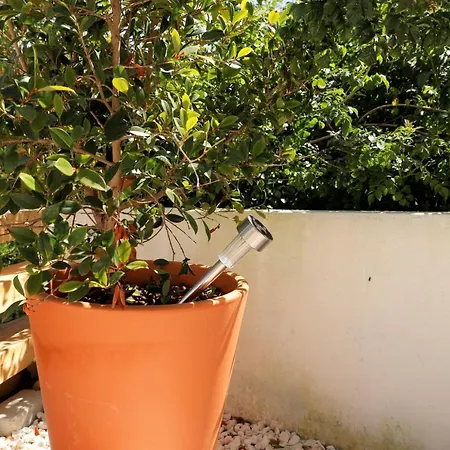 Casa Com Patio-sao Lourenco-ericeira Semesterbostad