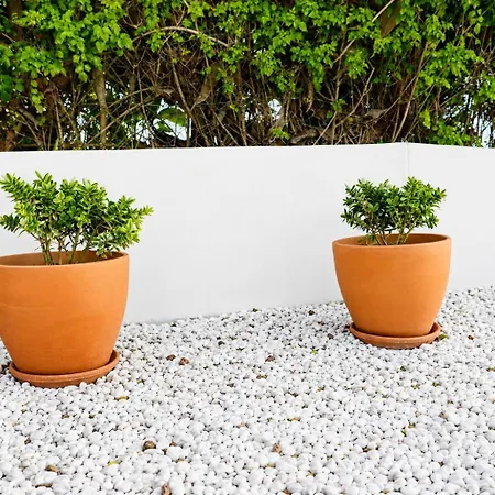 Casa Com Patio-sao Lourenco-ericeira Semesterbostad *