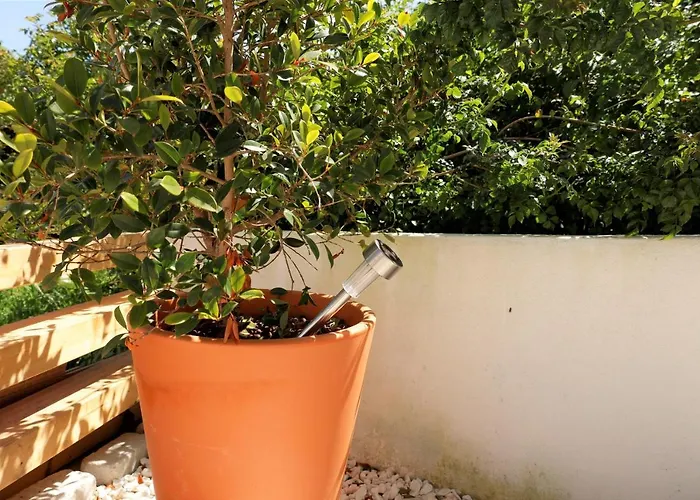 Casa Com Pátio-são Lourenço-ericeira Casa de Férias